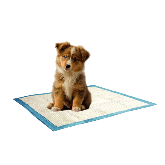 Almohadillas Entrenadoras Importadas Ultra-Absorbentes C/6Capas Y Adhesivo Antiderrapante (8Pcs) 58X58Cm