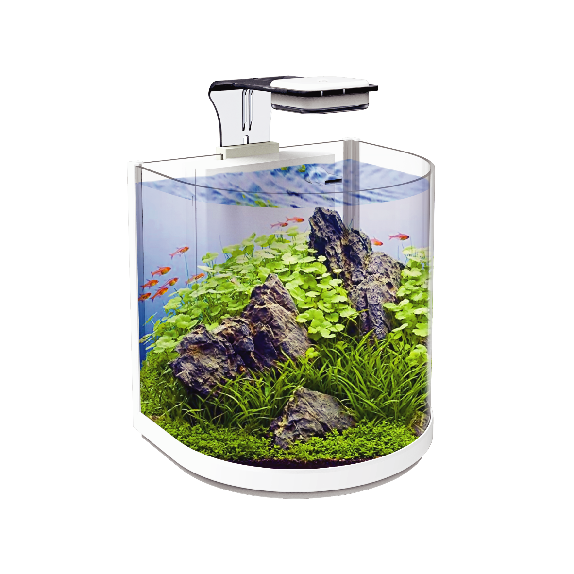 Pecera Sunny Nano Importada Tipo Medio Punto 10L (Incluye Lampara Touch, Filtro De Cascada, Alimento Supervit, Guia)