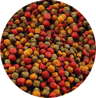 Alimento Sunny Importado Goldfish Color Mix 90G (By Tropical)