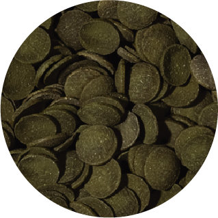 Alimento Sunny Importado Alga Wafers 70G (By Tropical)