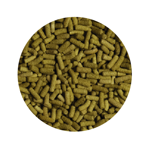 Alimento Tropical Biorept L 140G P/Tortugas Terrestres