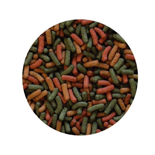 Alimento Tropical Biorept W 75G P/Trotugas Acuaticas Y Semiacuaticas