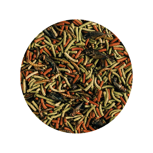 Alimento Tropical Soft Line Reptiles Carnivore 260G