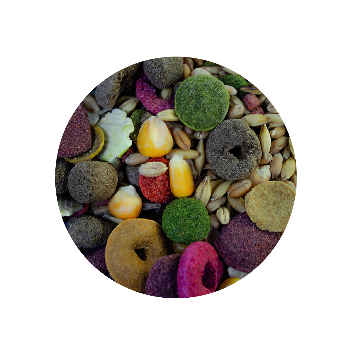 Alimento Sunny By Tropifit Importados P/ Hamster 500G (Frutas, Vegetales, Semillas Y Cereales Enteros)