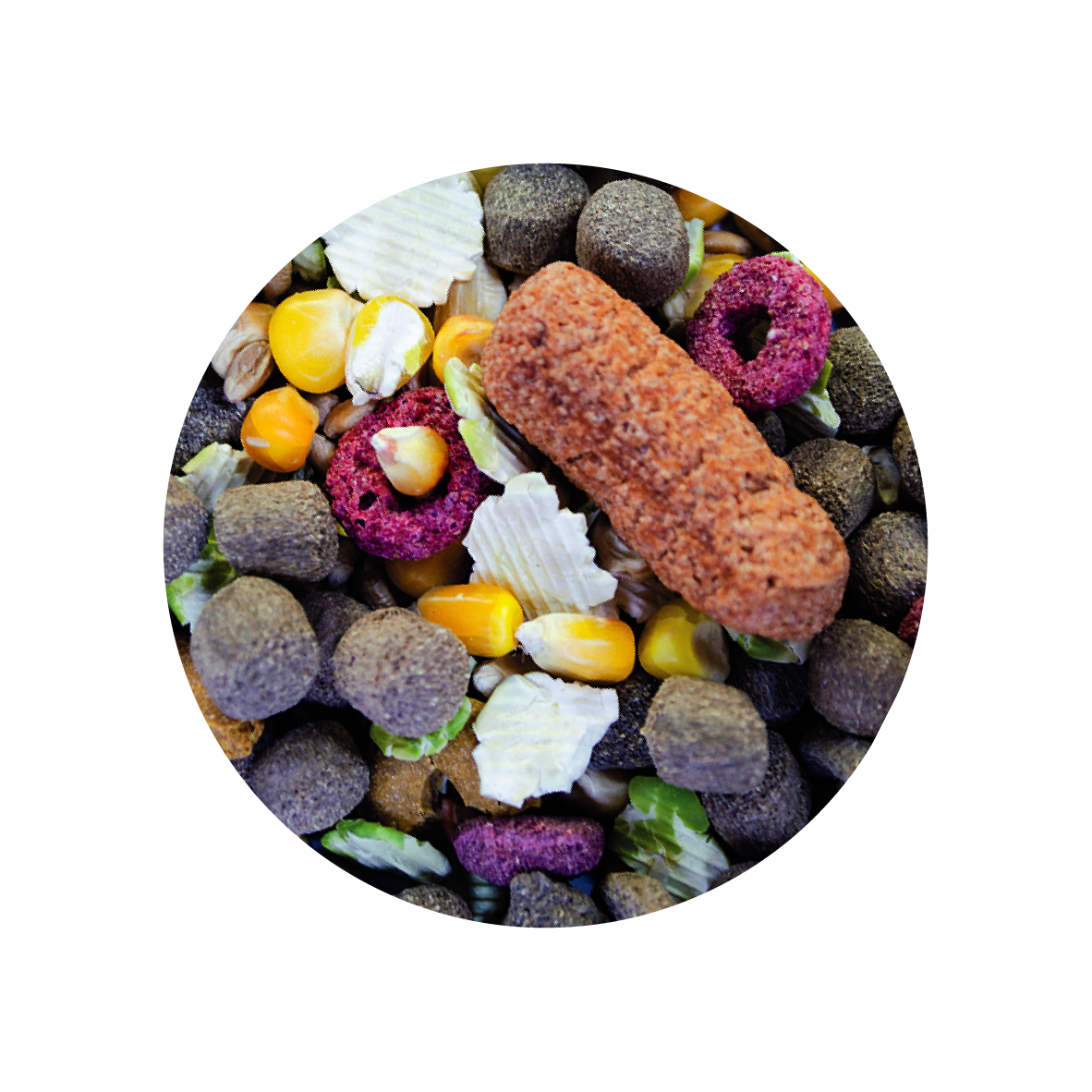 Alimento Sunny By Tropifit Imp P/ Conejos 500G (Frutas, Vegetales, Semillas Y Cereales Enteros)