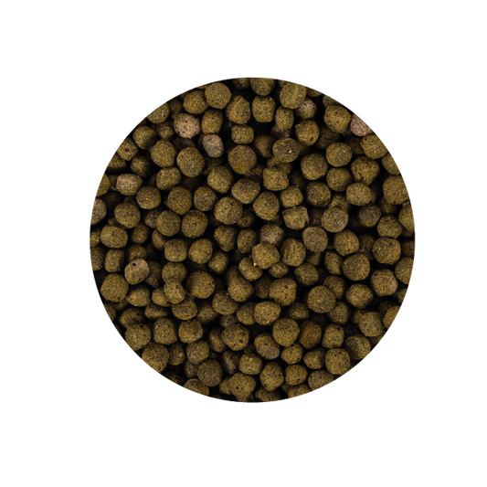 Alimento Tropical Koi Spirulina Pellet Size L 1500G