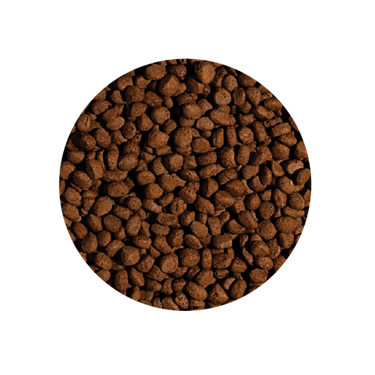 Alimento Tropical Koi Wheat Germ & Garlic Pellet Size M 320G