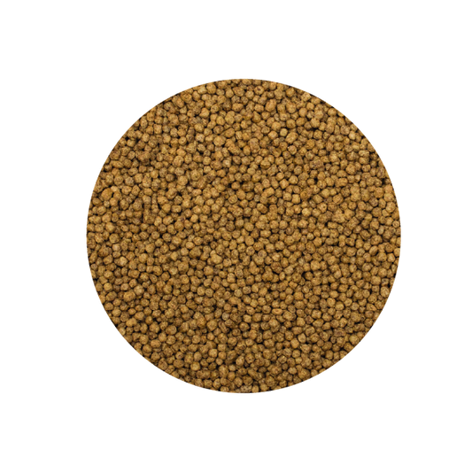 Alimento Tropical Koi Silkworm & Astaxanthin Pellet Size S 320G