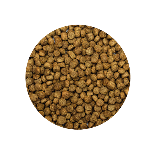 Alimento Tropical Koi Silkworm & Astaxanthin Pellet Size L 1500G