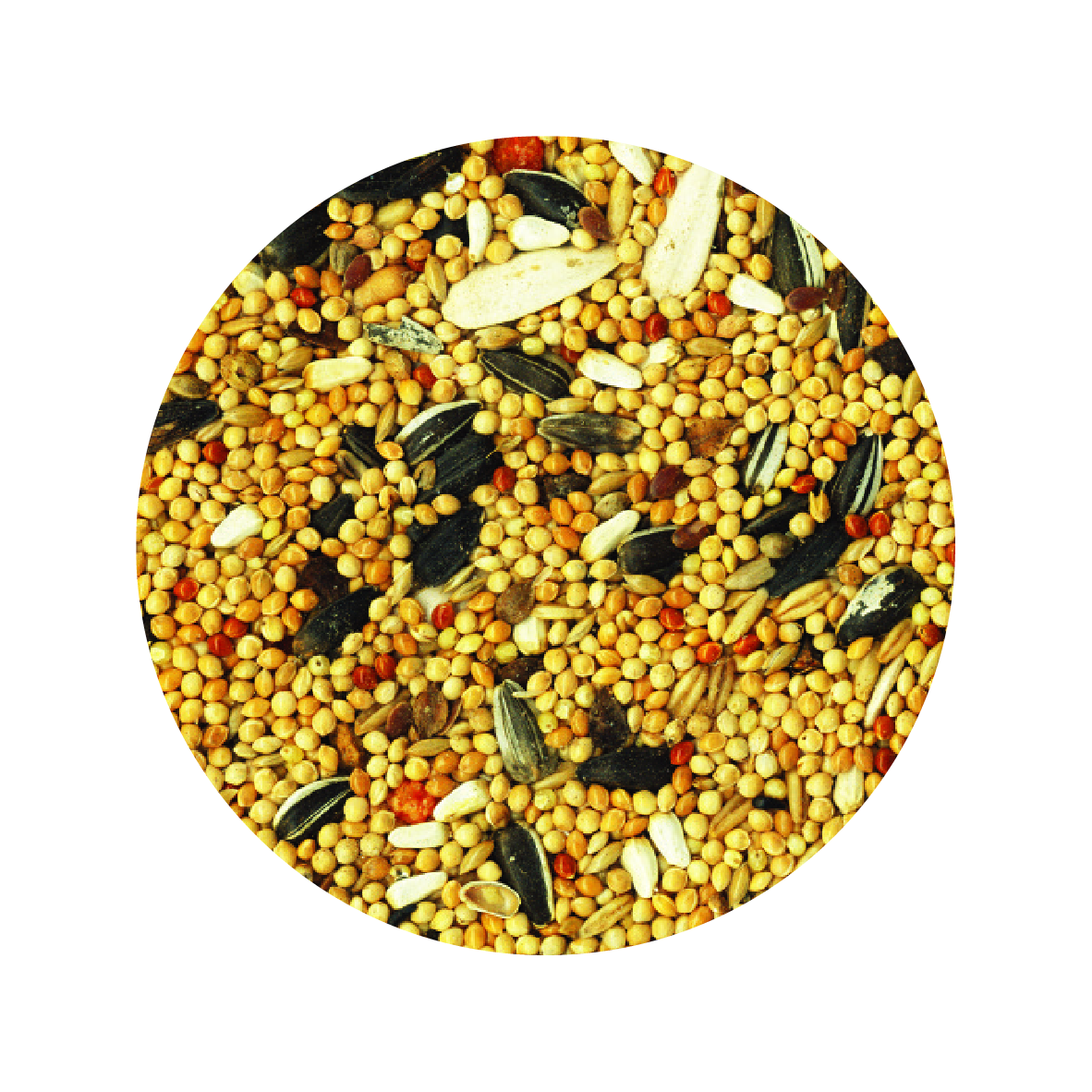 Alimento Importado Tropifit Cockatiel 700G