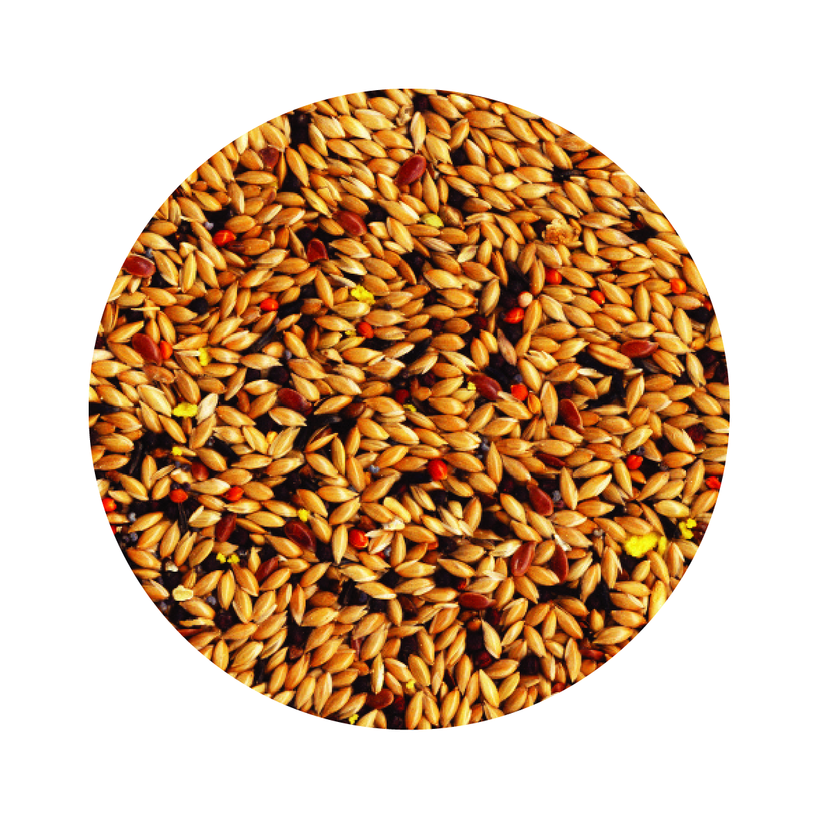 Alimento Importado Tropifit Canary 700G