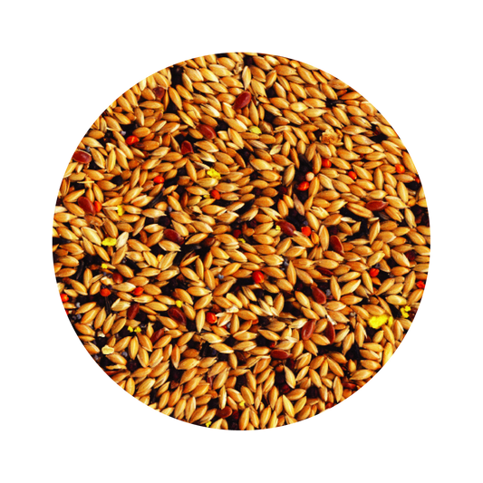 Alimento Importado Tropifit Canary 700G