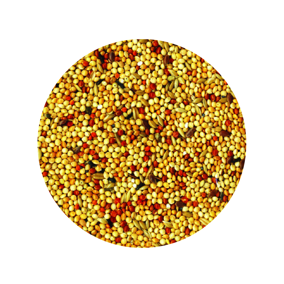 Alimento Importado Tropifit Exoten 700G