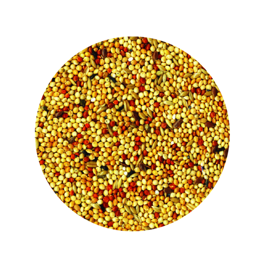 Alimento Importado Tropifit Exoten 700G