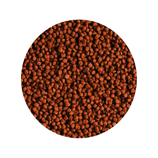 Alimento Tropical Red Parrot Granulat 100G