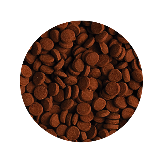 Alimento Tropical Carnivore 300g