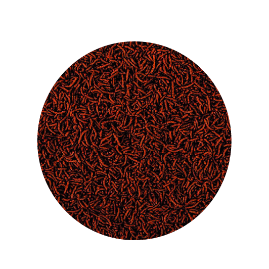 Alimento Tropical Marine Power Clownfish 65G