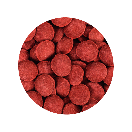 Alimento Tropical Hi-Protein Discs Xxl 125G