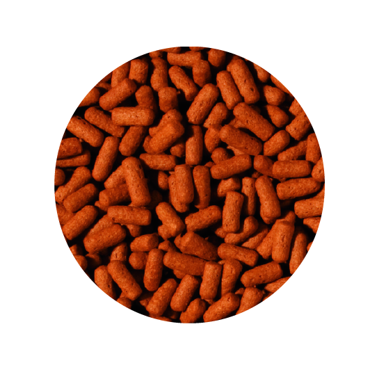 Alimento Tropical Cichlid & Arowana Large Sticks 300G