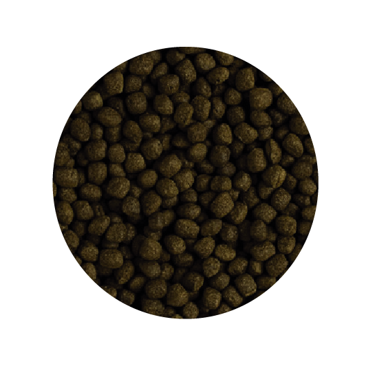 Alimento Tropical Flower Horn Adult Pellet 380G