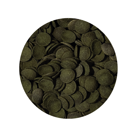 Alimento Tropical Green Algae Wafers 113G