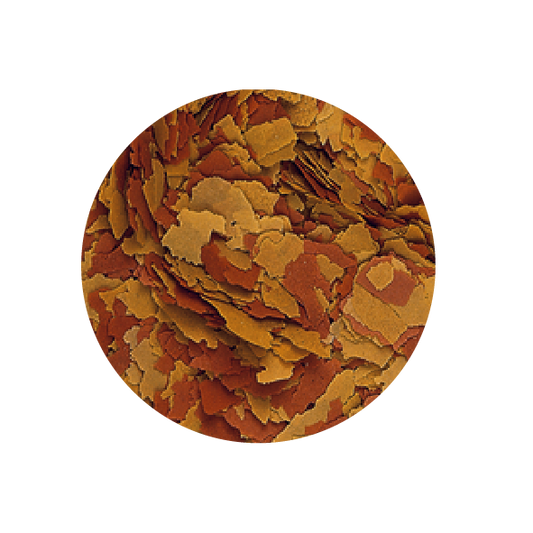 Alimento Tropical Vitality & Color Flakes 50G