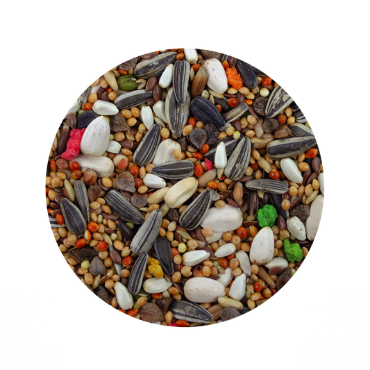 Alimento Importado Monte Verde Para Ninfas Y Agapornis 500G (By Sunny-Tropifit)