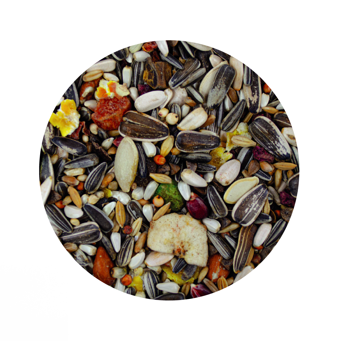 Alimento Importado Monte Verde Para Cacatuas, Loros Y Guacamayas 500G (By Sunny-Tropifit)