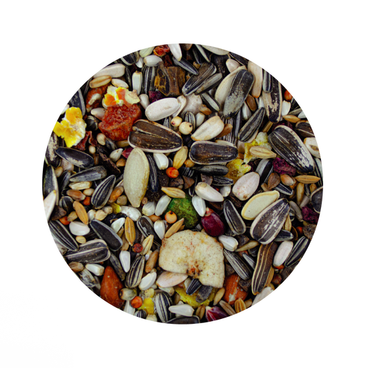 Alimento Importado Monte Verde Para Cacatuas, Loros Y Guacamayas 500G (By Sunny-Tropifit)