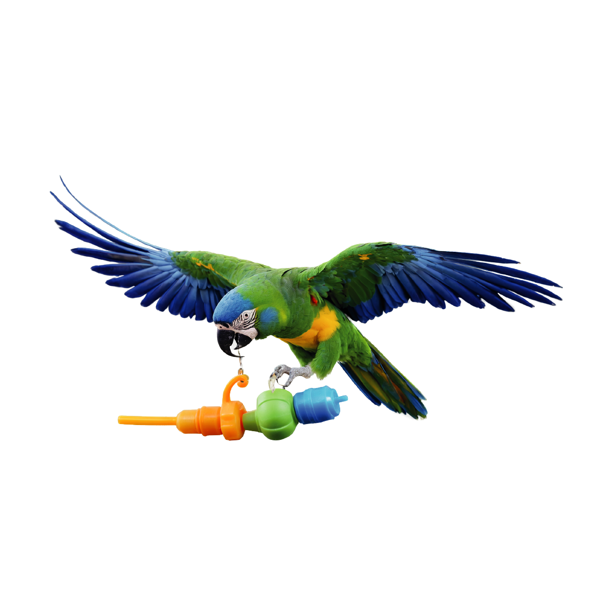 Juguetes Aves Monte Verde