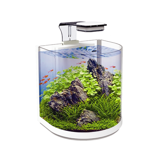 Pecera Sunny Nano Importada Tipo Medio Punto 10L (Incluye Lampara Touch, Filtro De Cascada, Alimento Supervit, Guia)