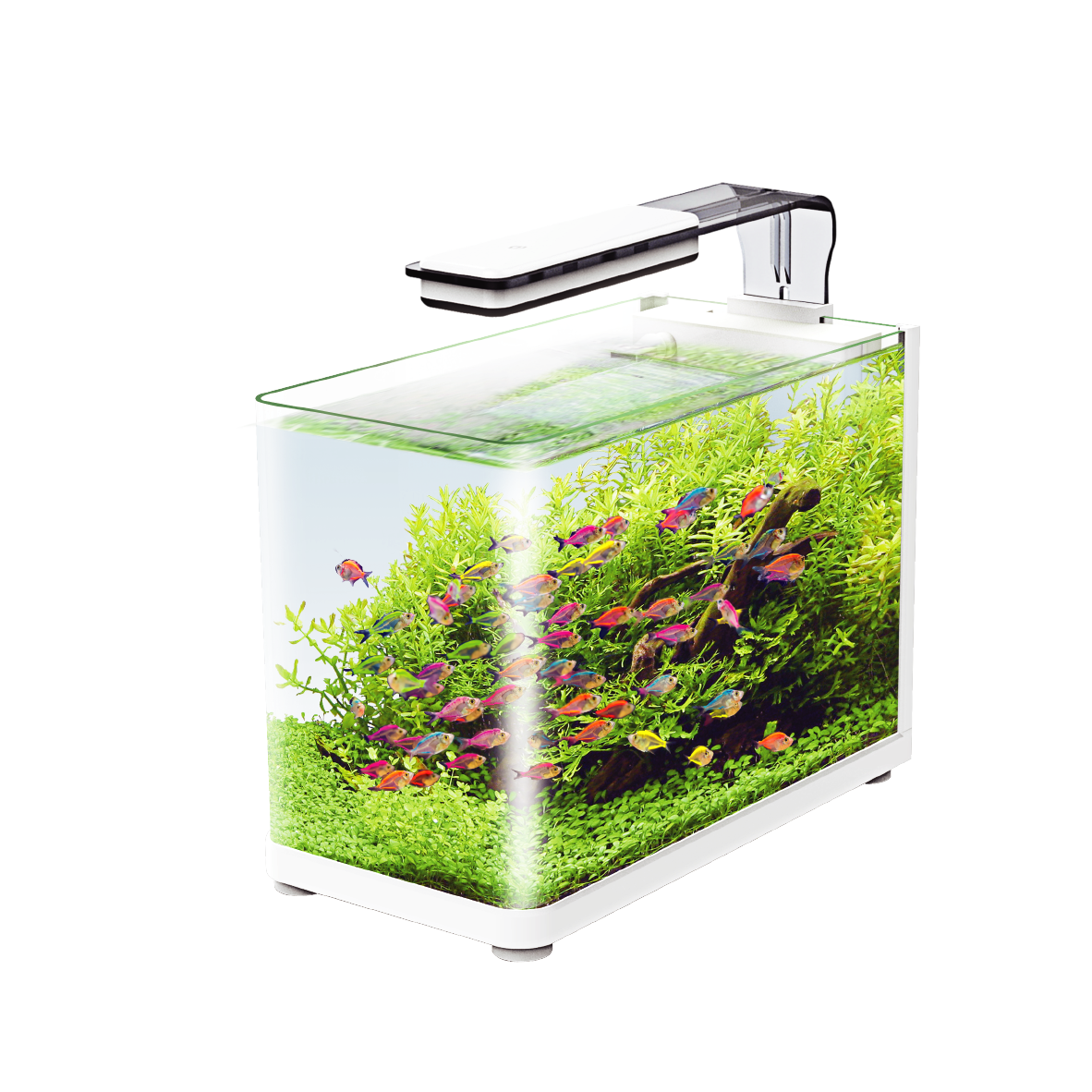 Pecera Sunny Nano Importada Tipo Bala 13L (Incluye Lampara Touch, Filtro De Cascada, Alimento Supervit, Guia)