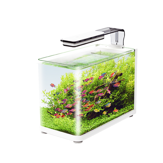 Pecera Sunny Nano Importada Tipo Bala 13L (Incluye Lampara Touch, Filtro De Cascada, Alimento Supervit, Guia)