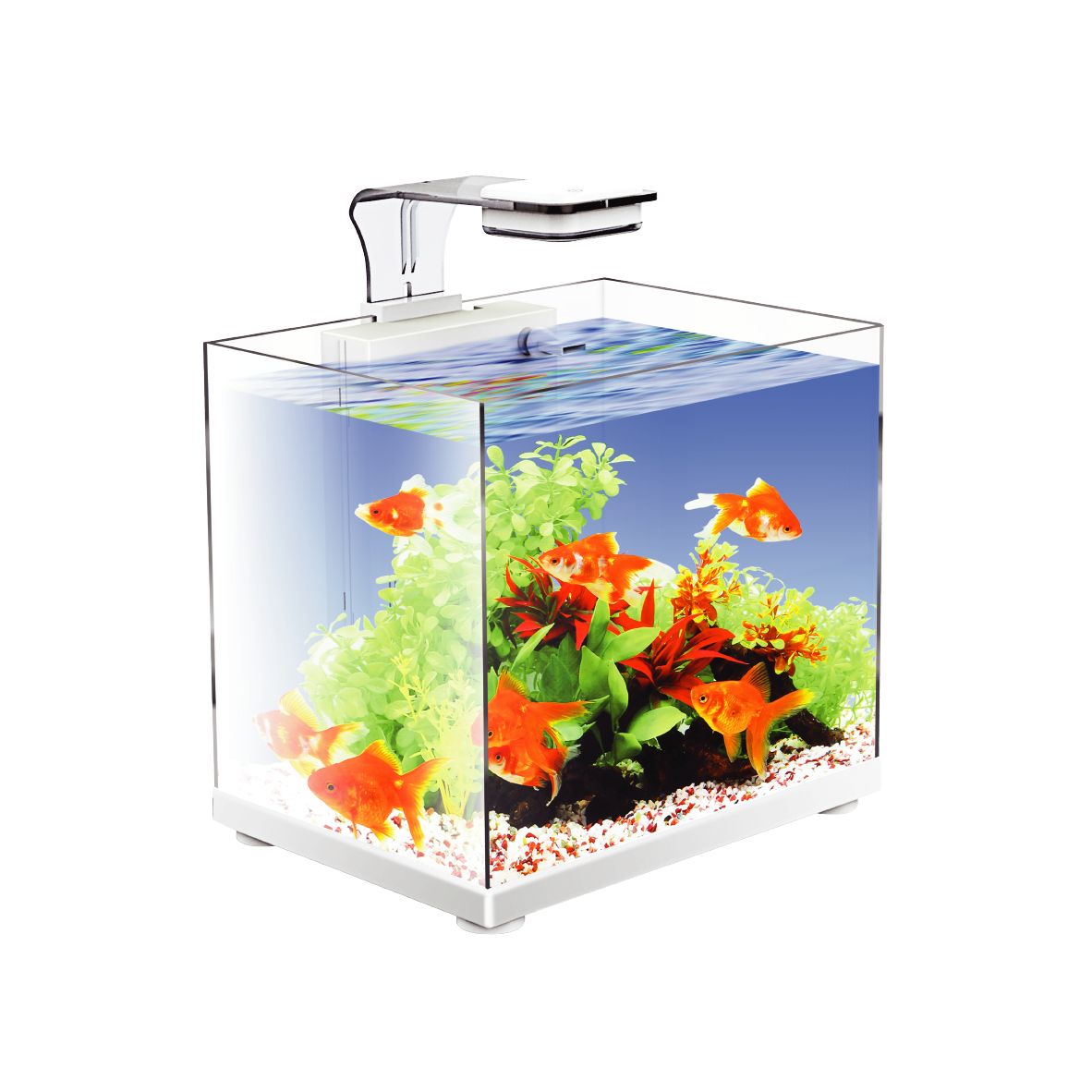 Pecera Sunny Nano Importada Tipo Cubo 17L (Incluye Lampara Touch, Filtro De Cascada, Alimento Supervit, Guia)