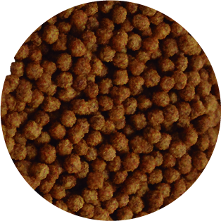 Alimento Sunny Importado Turtle Bites 90G (By Tropical)