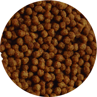 Alimento Sunny Importado Goldfish Pellets Flotantes 90G (By Tropical)