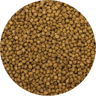 Alimento Sunny Importado Goldfish Garlic 90G (By Tropical)