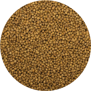 Alimento Sunny Importado Tropical Granulado Con Garlic 90G (By Tropical)