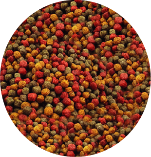 Alimento Sunny Importado Tropical Granulado Color Mix 90G (By Tropical)