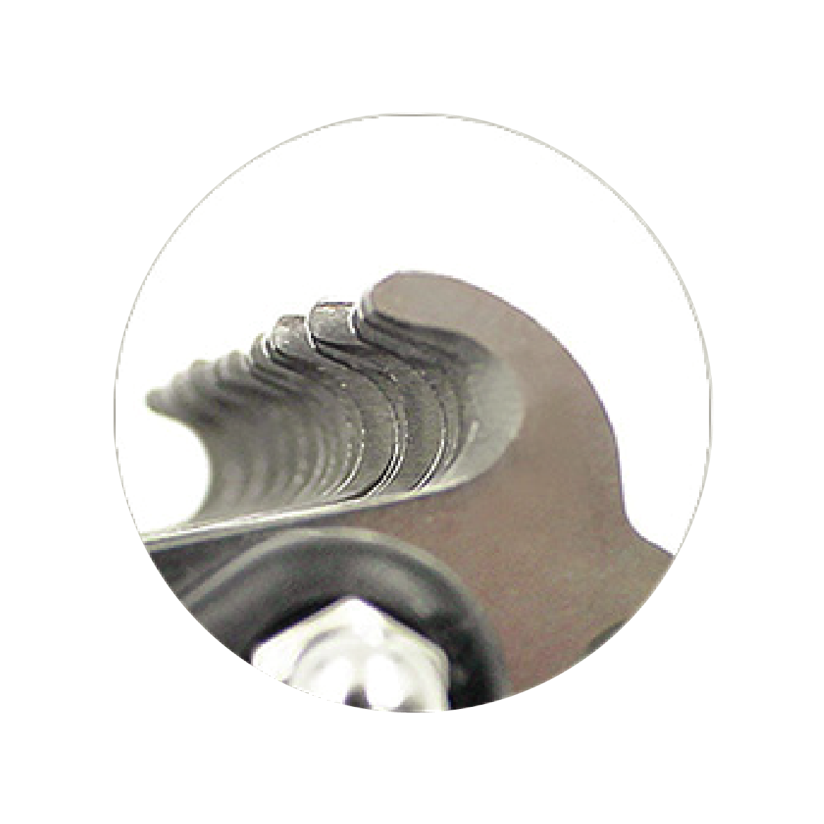 Rompenudos Mini Petunius By Sunny (Pelo Largo Y Pelo Corto)