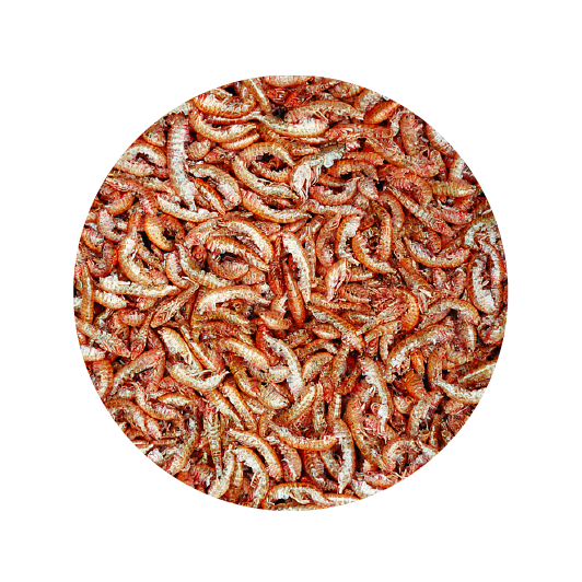 Alimento Tropical Gammarus  30G