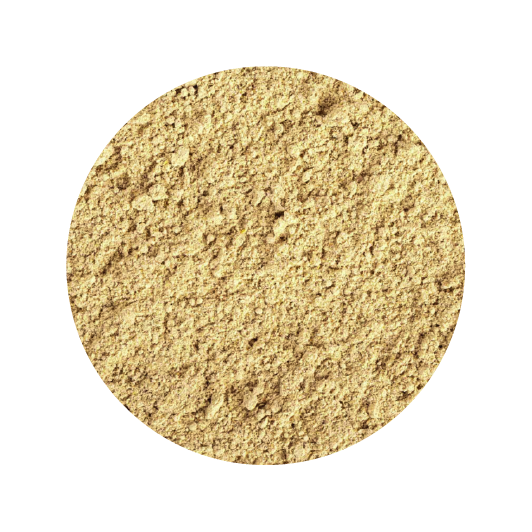 Alimento Tropical Gecko Cream Apricot 125G