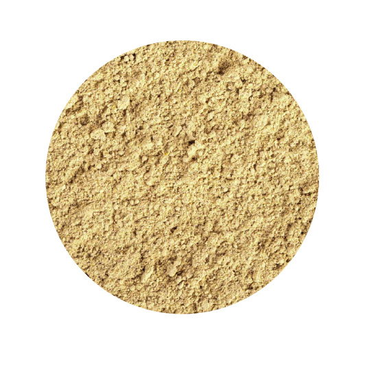 Alimento Tropical Gecko Cream Stawberry 125G