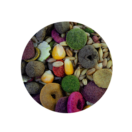 Alimento Sunny By Tropifit Importados P/ Hamster 500G (Frutas, Vegetales, Semillas Y Cereales Enteros)