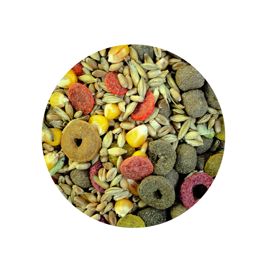 Alimento Sunny By Tropifit Importado P/ Cuyo 500G (Frutas, Vegetales, Semillas Y Cereales Enteros)