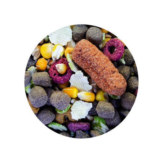 Alimento Sunny By Tropifit Imp P/ Conejos 500G (Frutas, Vegetales, Semillas Y Cereales Enteros)