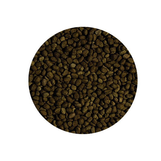 Alimento Tropical Koi Spirulina Pellet Size M 320G