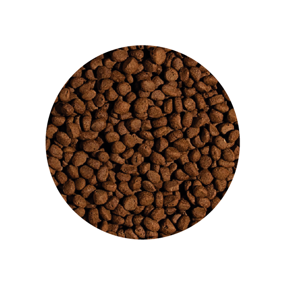 Alimento Tropical Koi Wheat Germ & Garlic Pellet Size M 1500G