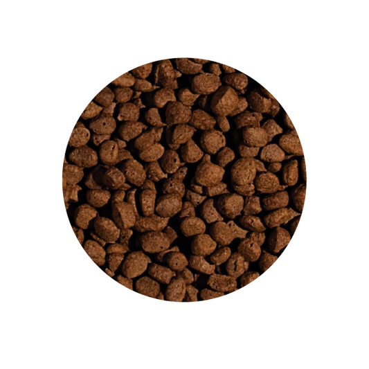 Alimento Tropical Koi Wheat Germ & Garlic Pellet Size L 1500G