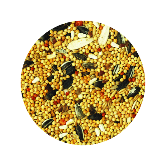 Alimento Importado Tropifit Cockatiel 700G